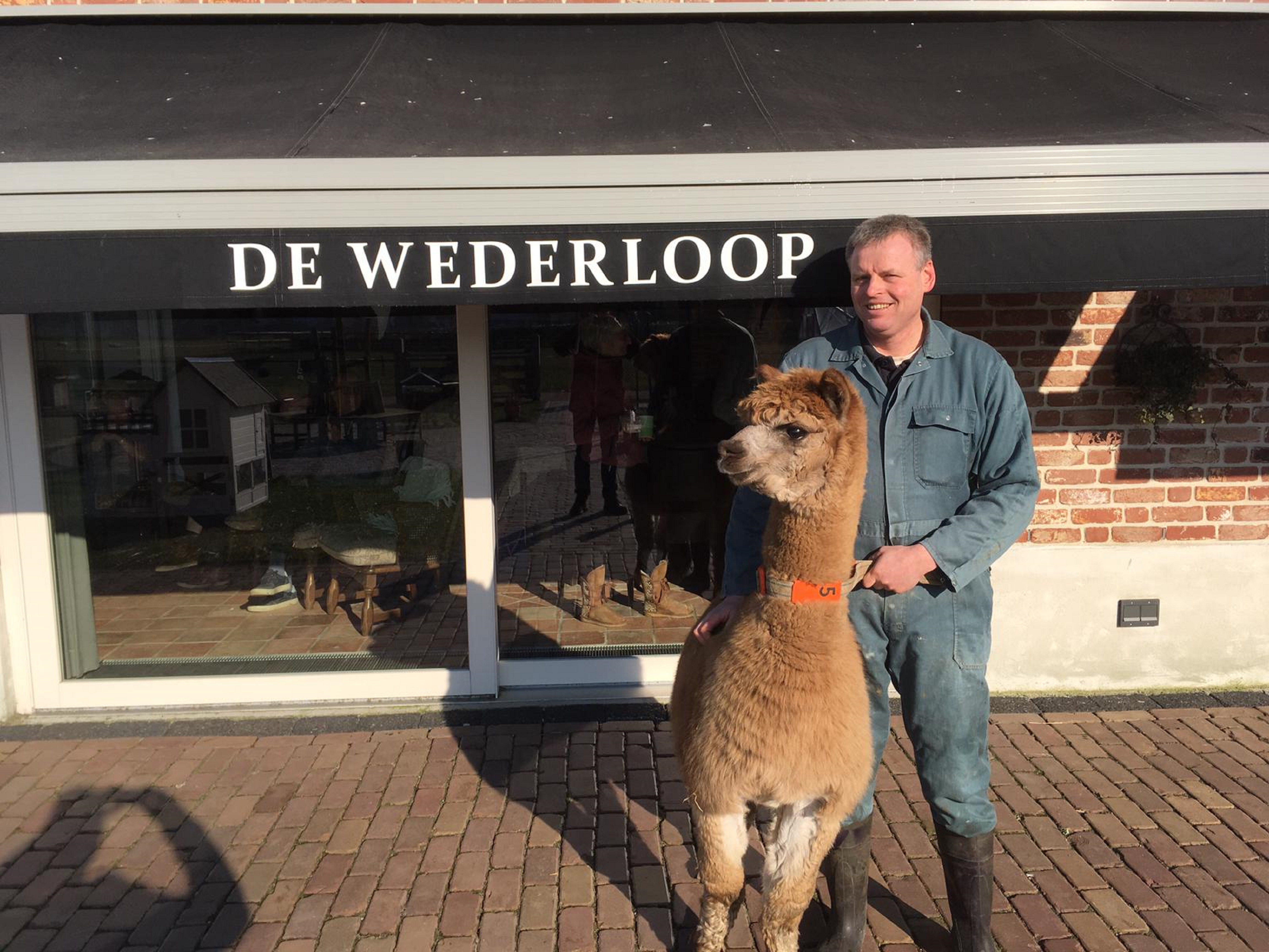 Foto Wederloop